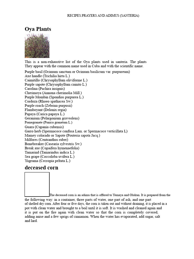 Oya Plants and Adimu Offerings Guide | PDF | God The Father | Prayer