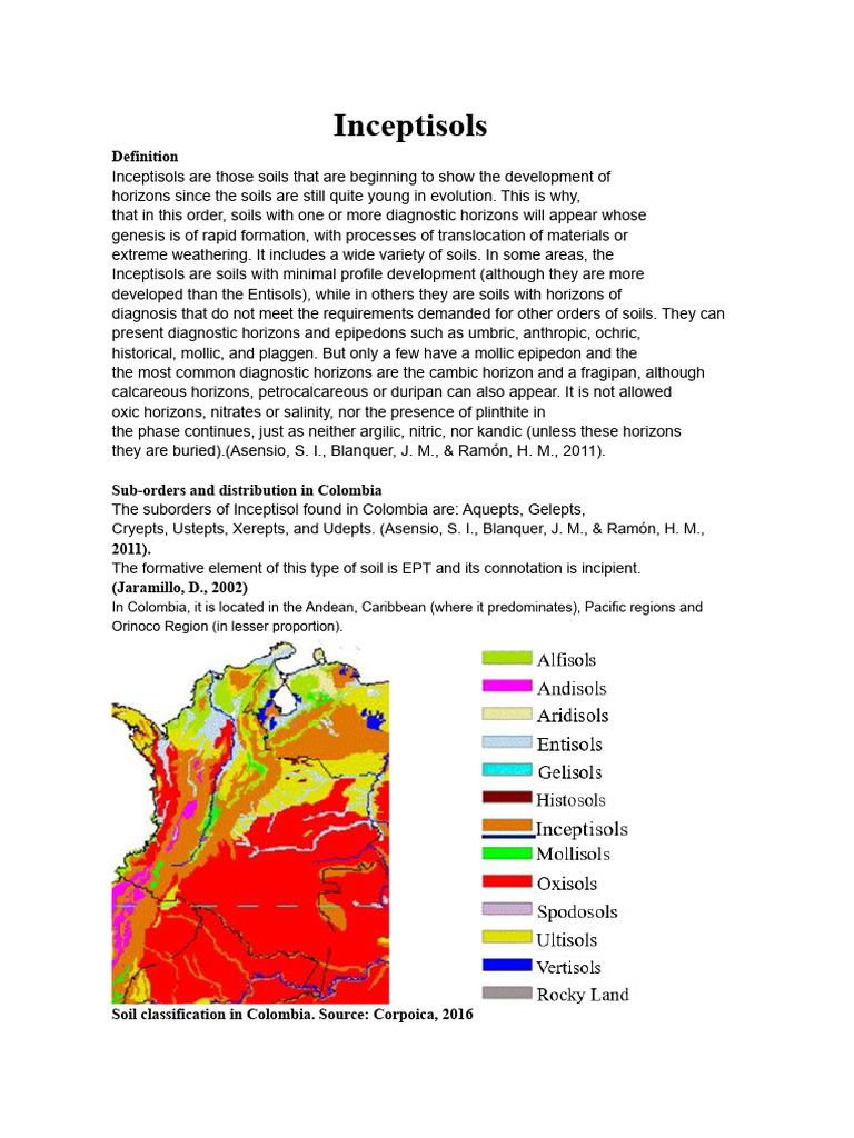 Inceptisols | PDF | Soil | Physical Geography