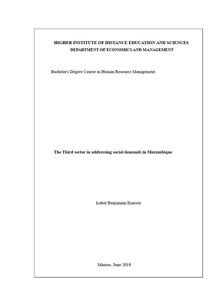 Third Sector's Role in Mozambique's Society | PDF | Methodology | Non ...