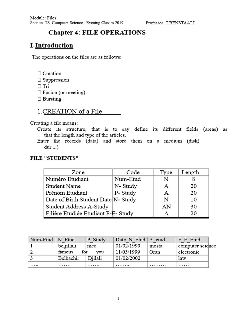 File Operations in Computer Science | PDF | Computer File | Computer ...