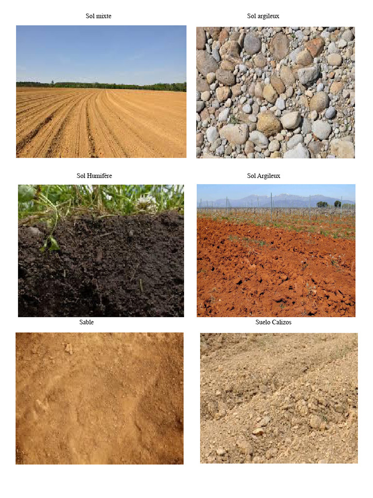 Types de sols et leurs caractéristiques | PDF