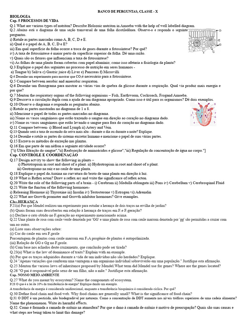 Perguntas de Biologia para Classe X | PDF | Resistência elétrica e ...