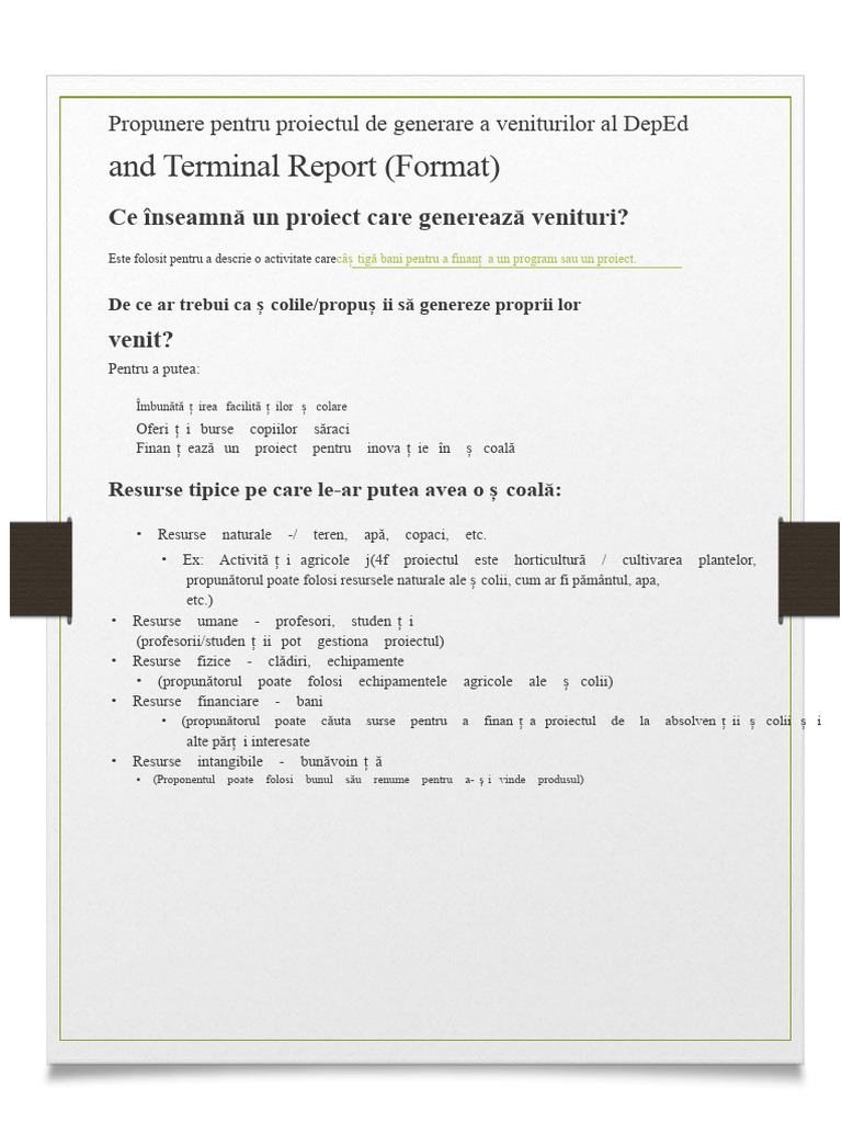 Propunerea de Proiect Generatoare de Venituri Și Raportul Final DepEd | PDF