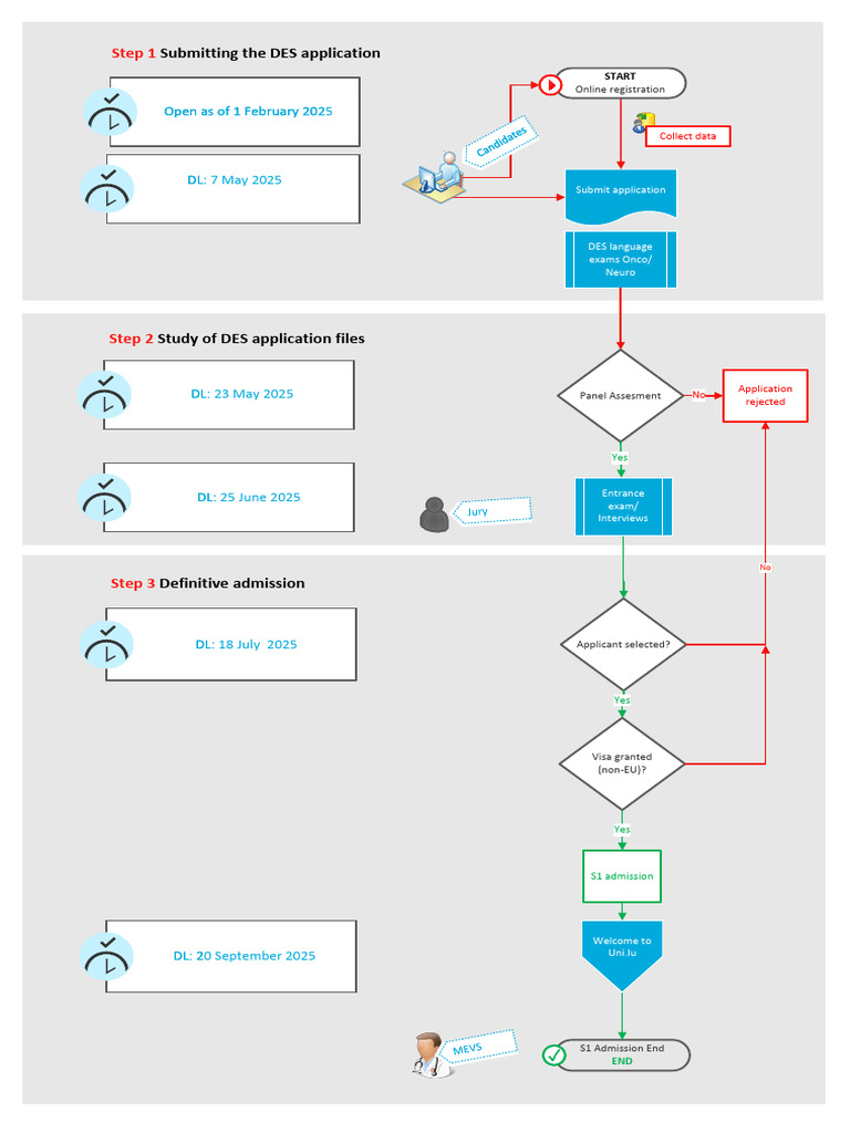 DES Application Process Overview | PDF