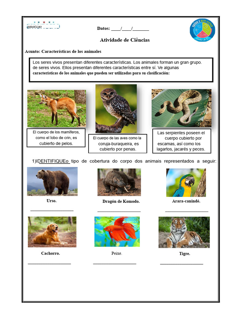 Características de los Animales y su Clasificación | PDF