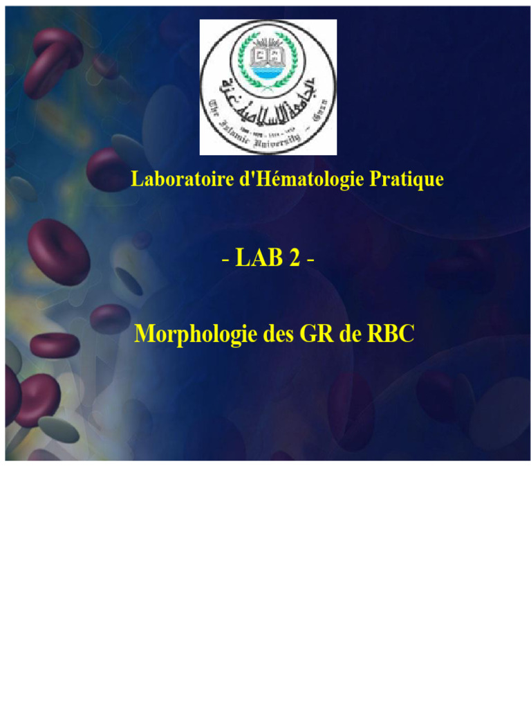 Morphologie des Globules Rouges en Hématologie | PDF | Globule rouge ...