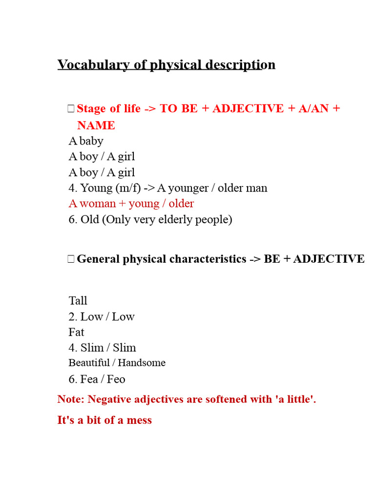 Physical Description Vocabulary Guide | PDF