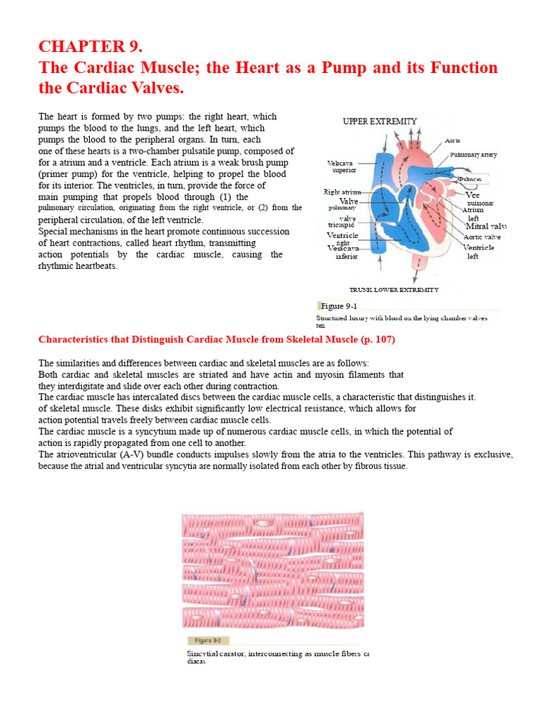 Heart Function and Cardiac Muscle Mechanics | PDF | Diastole | Heart Valve