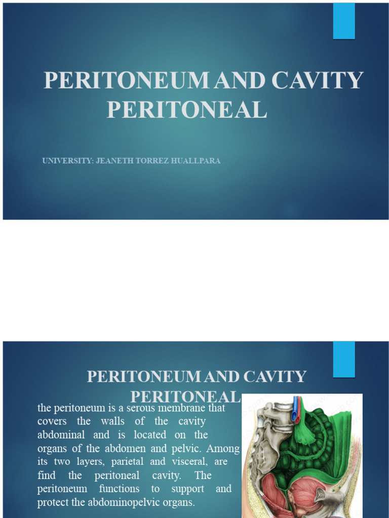 Understanding the Peritoneum and Cavity | PDF | Peritoneum ...