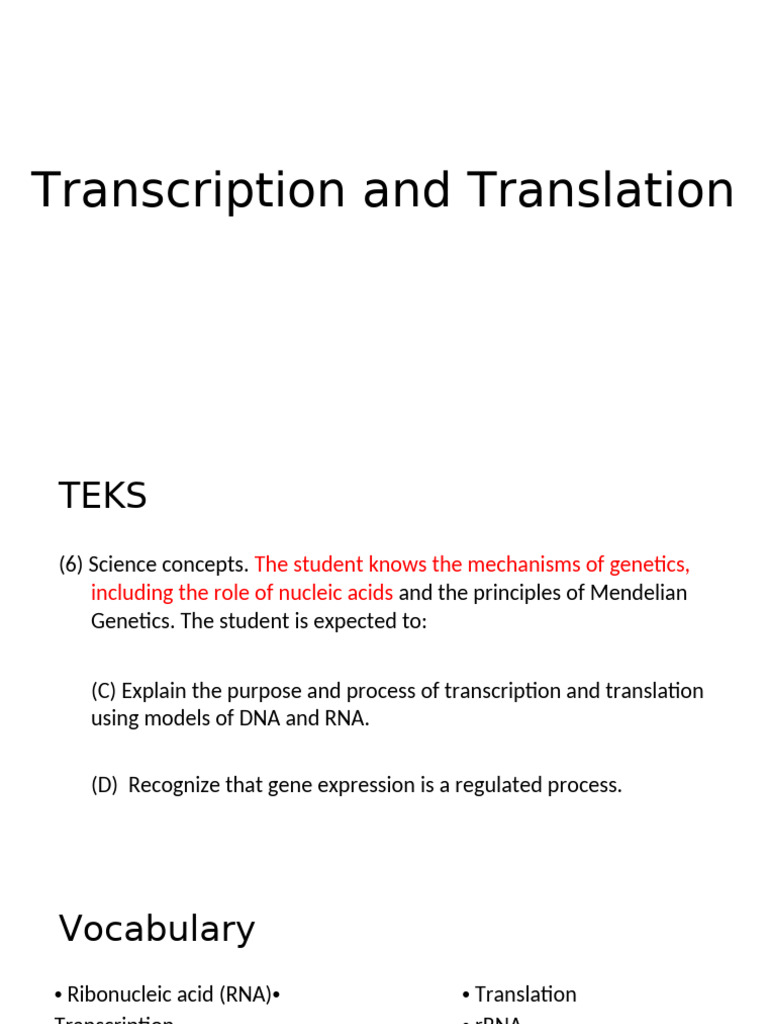 Understanding Transcription and Translation | PDF | Rna | Translation ...