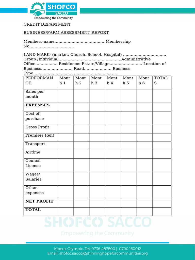 Business Assessment Report Template | PDF