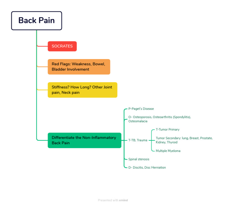 Understanding Back Pain Red Flags | PDF