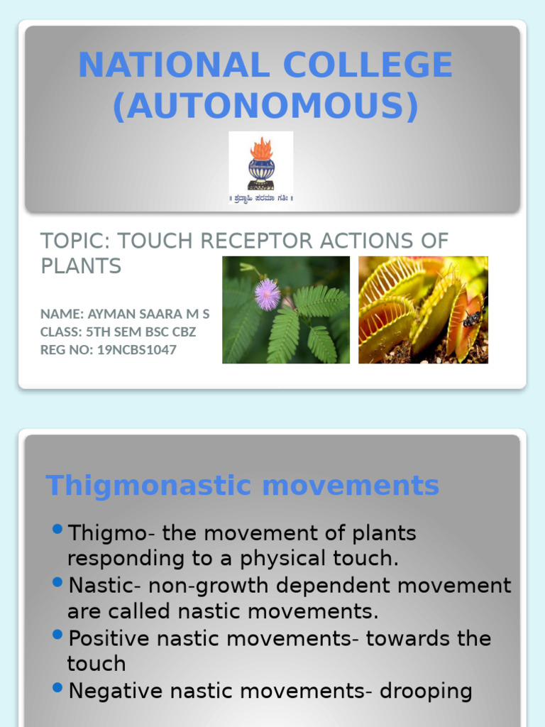 Saara | PDF | Leaf | Organisms