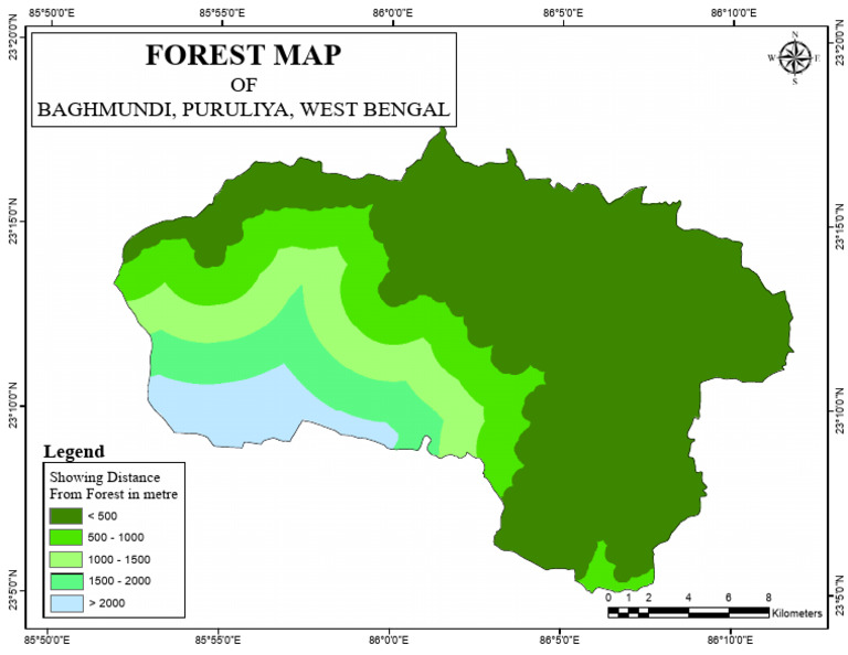 Forest Layout 2 | PDF