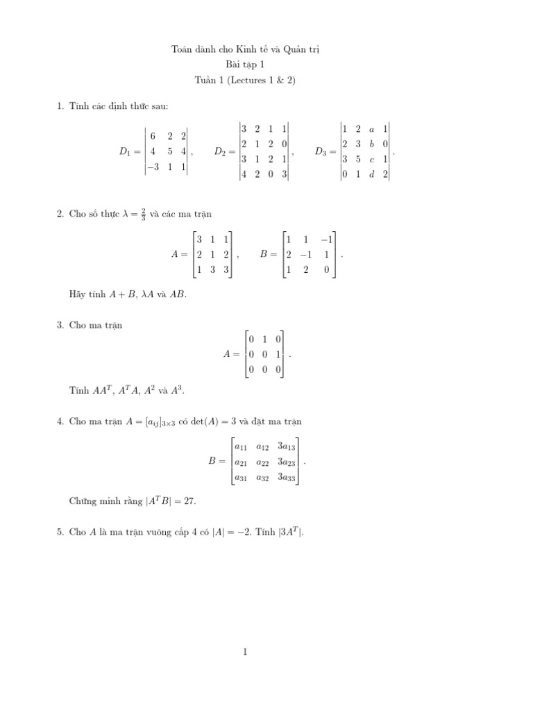 BT 1 | PDF