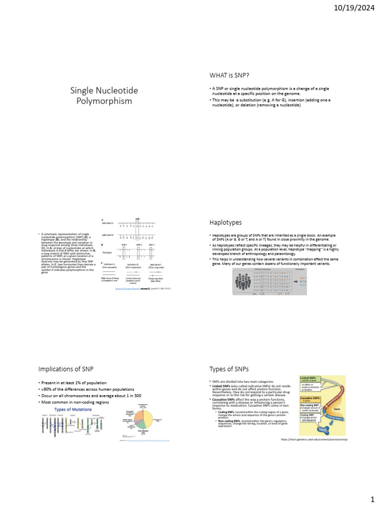 Understanding Single Nucleotide Polymorphisms | PDF | Single Nucleotide ...