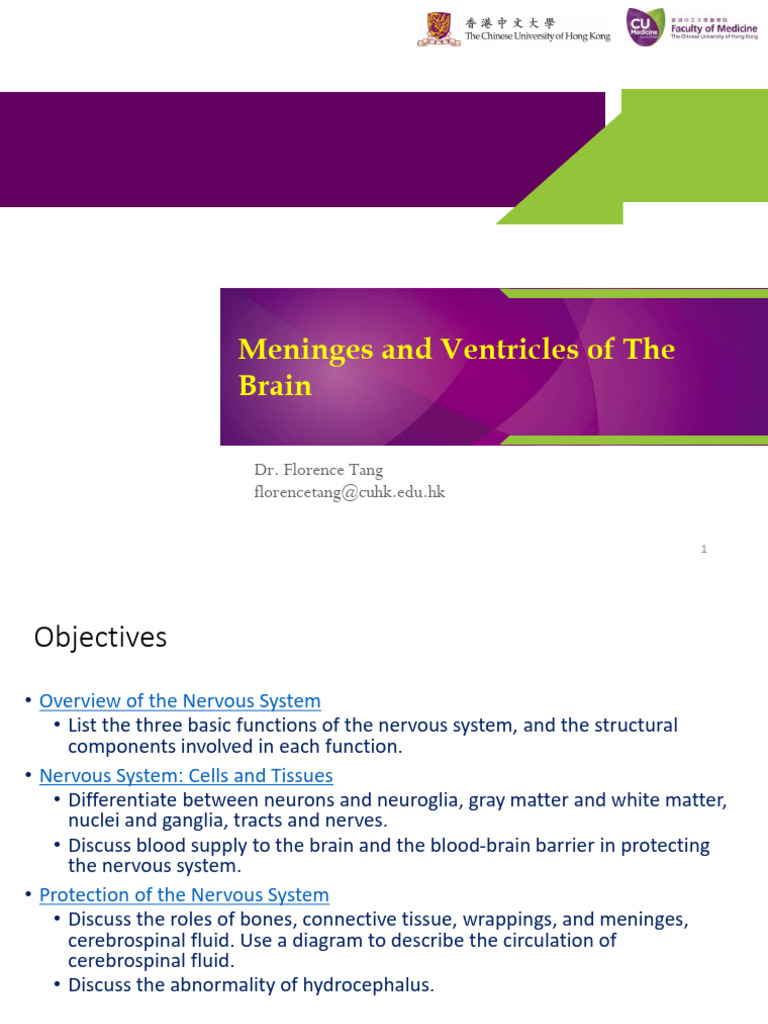 Brain Meninges and Ventricles Overview | PDF | Cerebrospinal Fluid ...