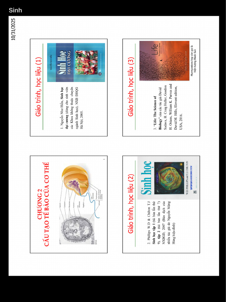 Sinh | PDF
