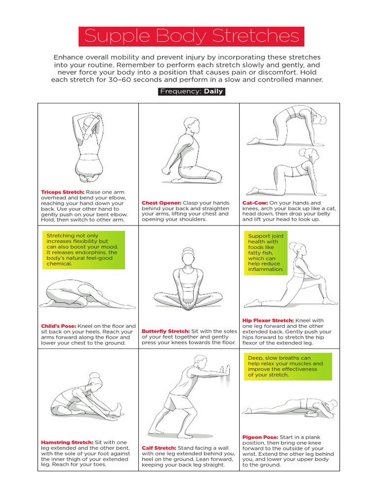 Daily Stretches for Mobility & Injury Prevention | PDF | Foot ...