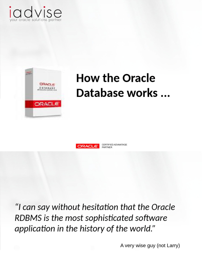 Understanding Oracle Database Architecture | PDF | Databases | Cache ...
