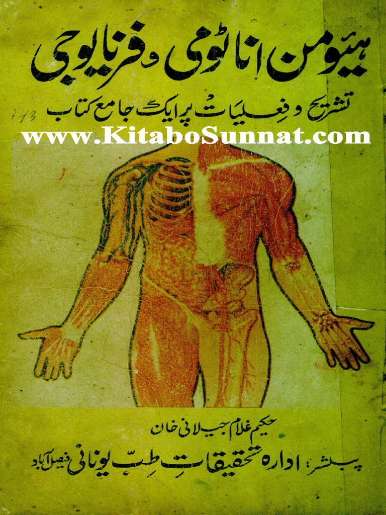 Human Anatomy W Physiology | PDF