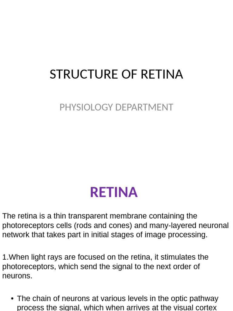 Anatomy and Layers of the Retina | PDF | Retina | Axon