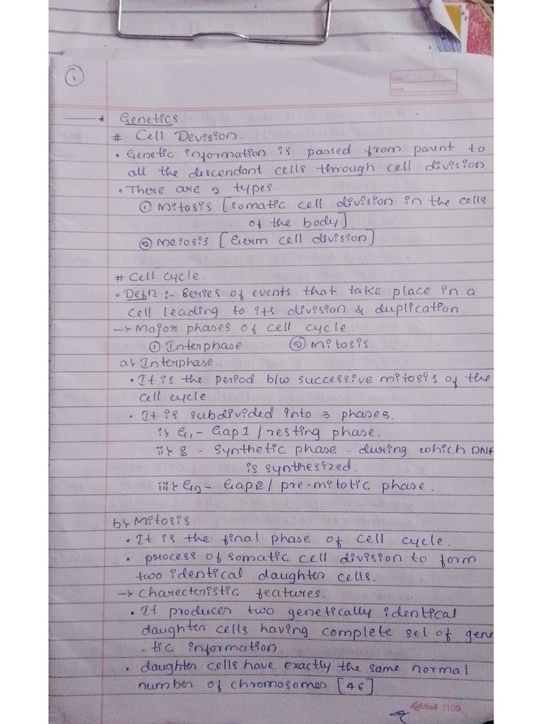 Genetics Notes | PDF