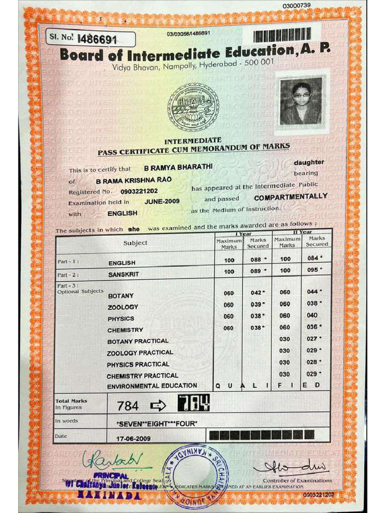 Intermediate Marks | PDF