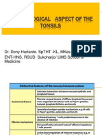 Immunology Tonsil 2