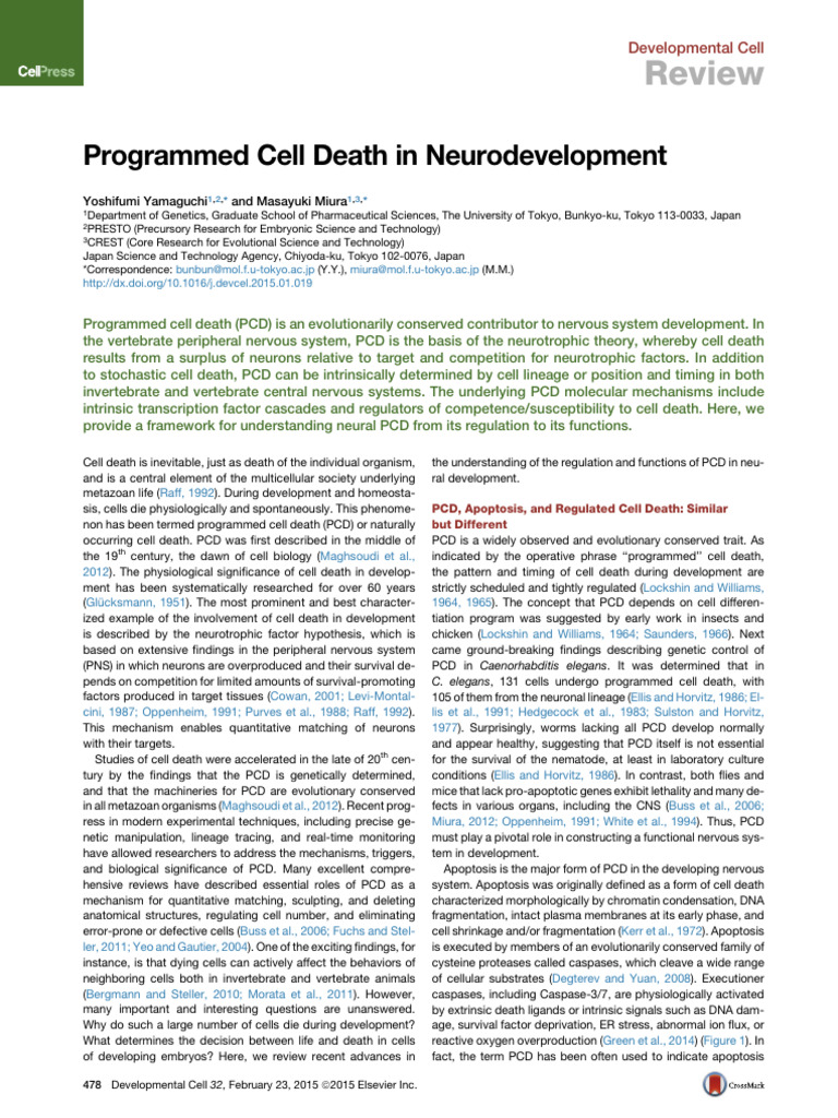 A Developmental Switch Between Neurogenesis and Programmed Cell Death ...