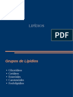 Lipídios