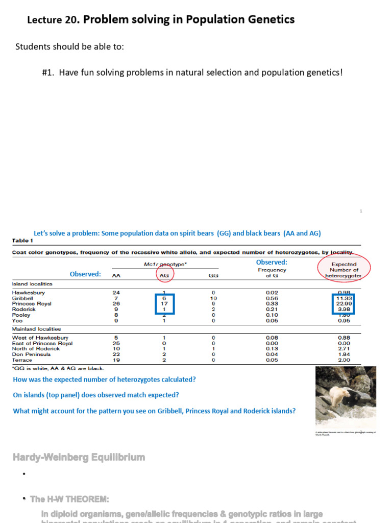 Population Genetics Problem Solving Guide | PDF | Genetics | Biology
