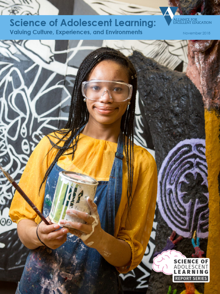 Adolescent Learning: Culture and Environment Insights | PDF ...