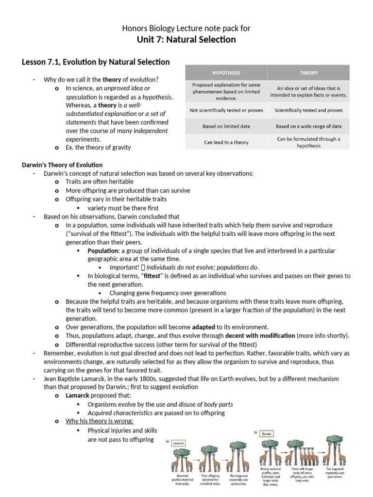 Natural Selection and Evolution Concepts | PDF | Natural Selection ...