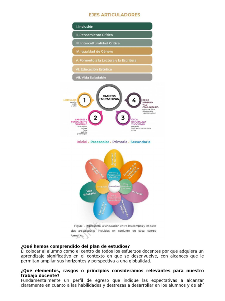 Mejora del Plan de Estudios Educativo | PDF | Plan de estudios | Enseñando