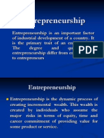 entrepreneurshi[