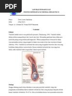 Download LAPORAN PENDAHULUAN 01 by Dewi Lestari Handayani SN97043687 doc pdf