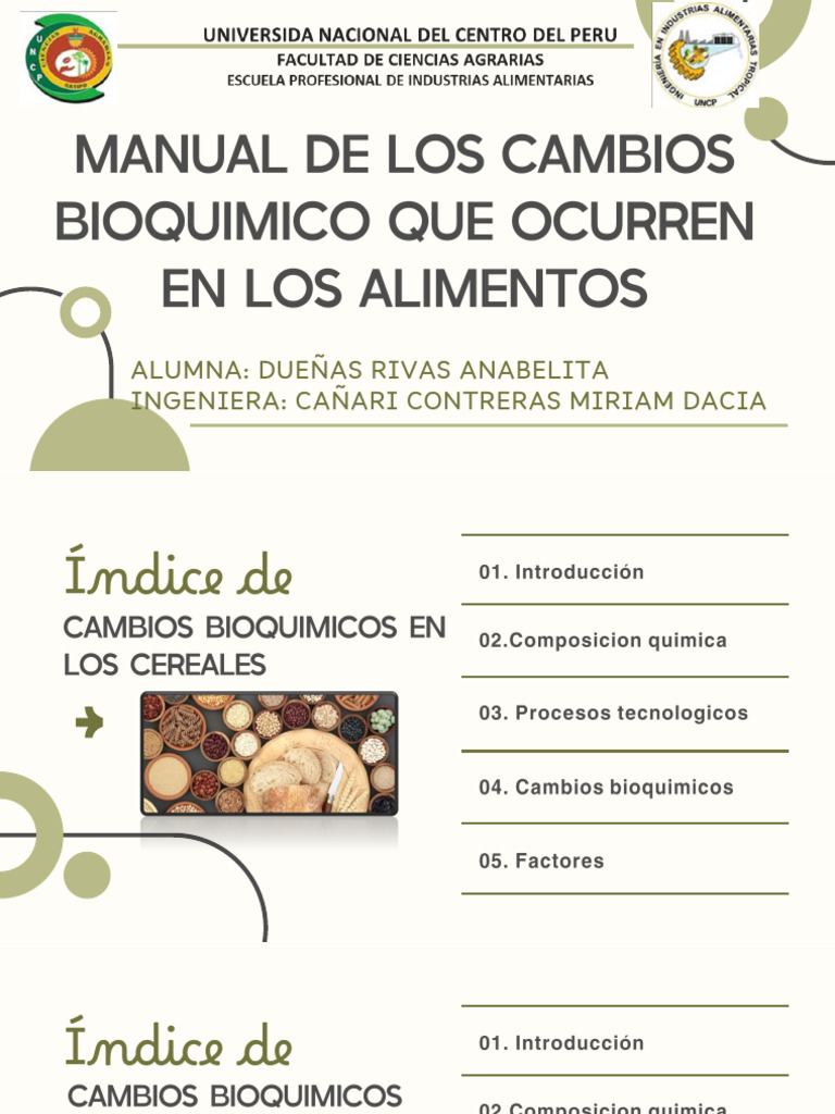 Cambios Bioquímicos en Alimentos Peruanos | PDF | Fermentación | Maíz