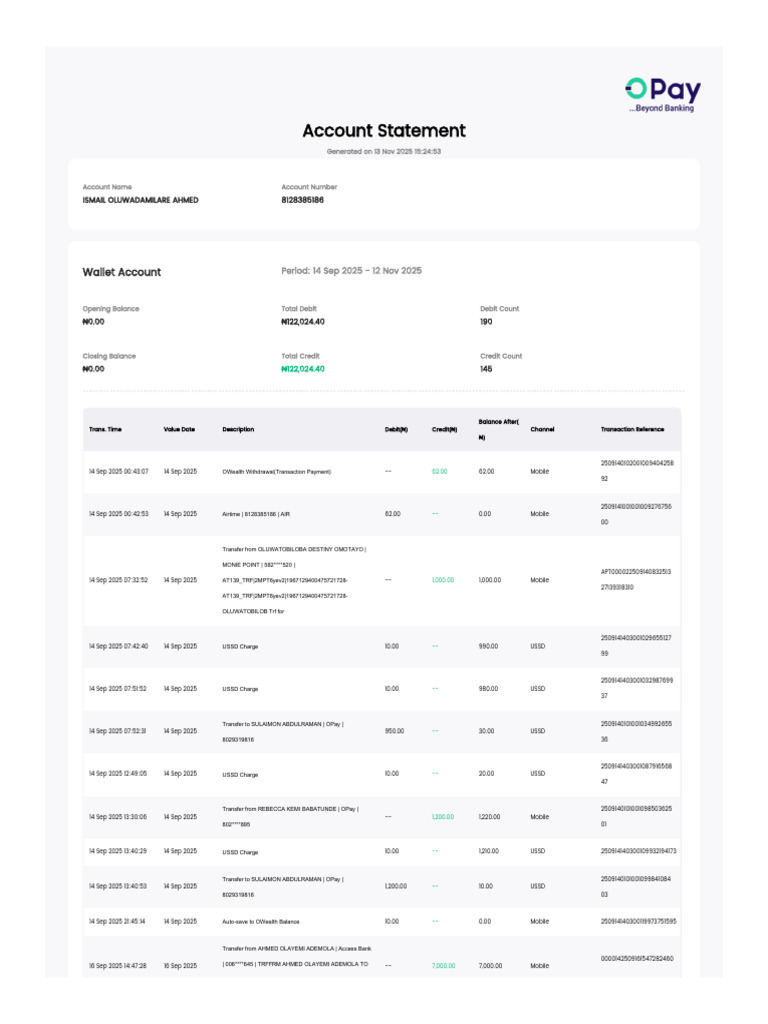 Wallet Account Statement Summary | PDF | Debit Card | Personal Finance