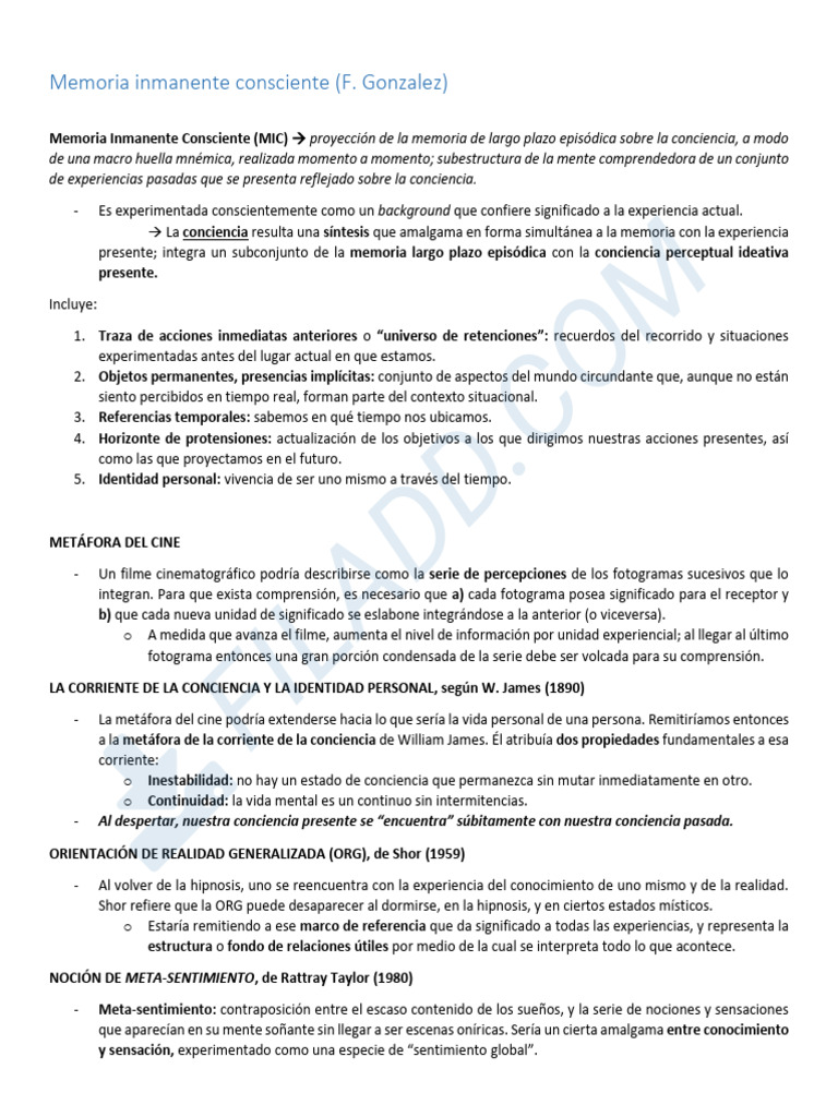 Memoria Inmanente Consciente - RESUMEN | PDF | Memoria | Evaluación ...