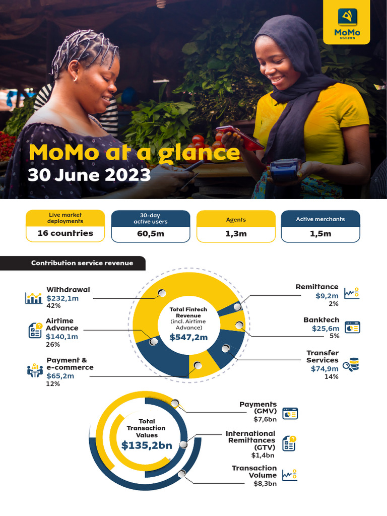 MTN_MoMo_On_A_Page_9_231115_212519-1 | PDF | Financial Technology ...
