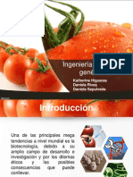 Alimentos Transgénicos