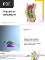 Special Regions of the Peritoneal Cavity | PDF | Peritoneum ...