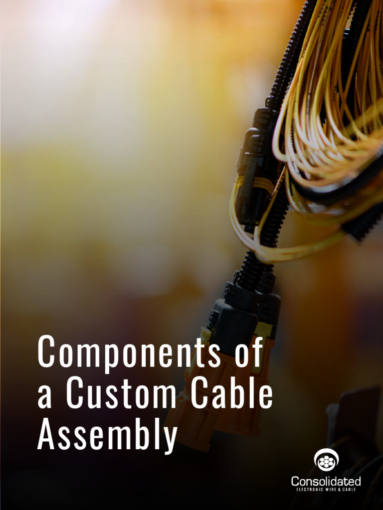 Key Components of Custom Cable Assemblies | PDF | Electrical Connector ...