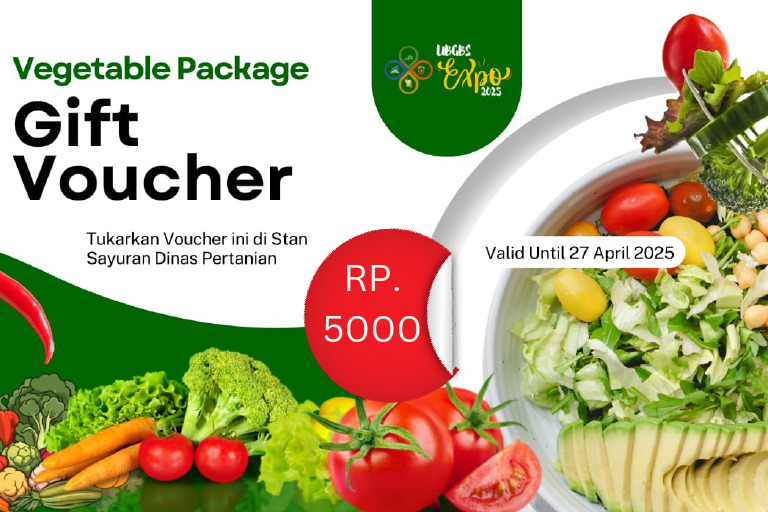 RP 5000 | PDF