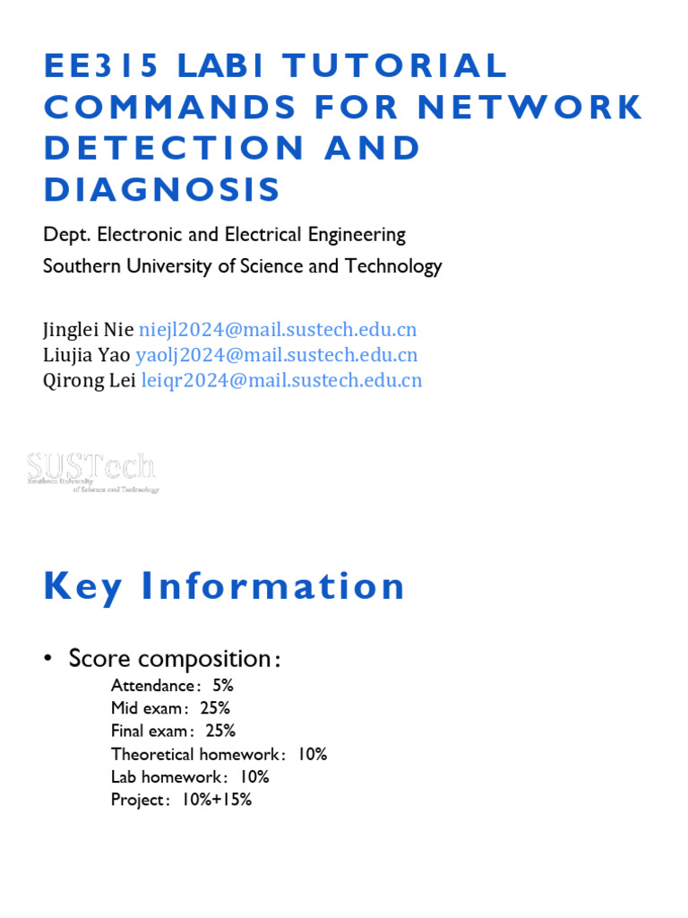 Network Detection and Diagnosis Commands | PDF | Ip Address | Internet ...