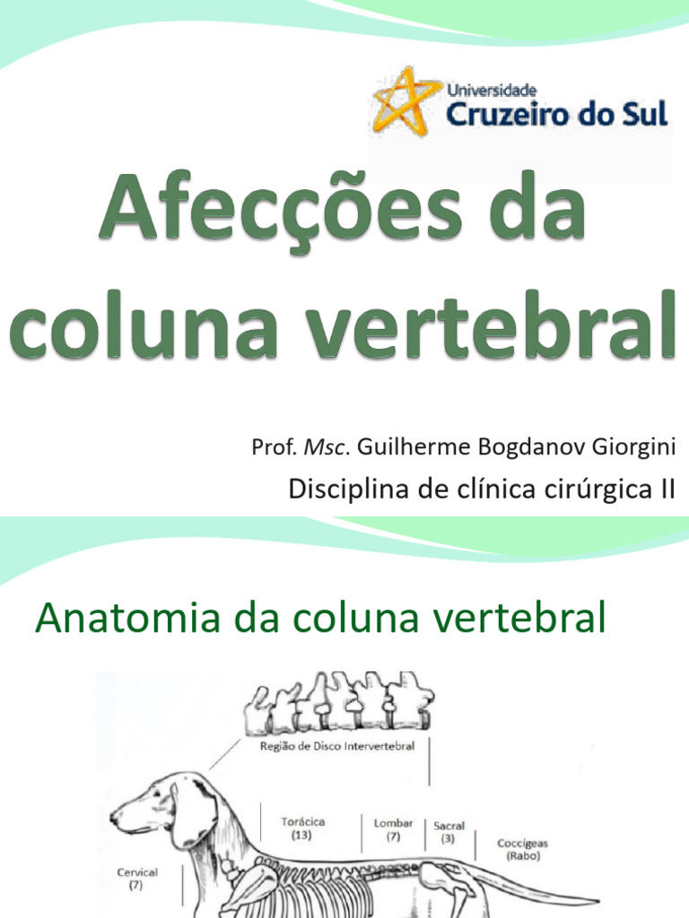 Anatomia e Lesões da Coluna Vertebral | PDF | Vértebra | Sistema Locomotor
