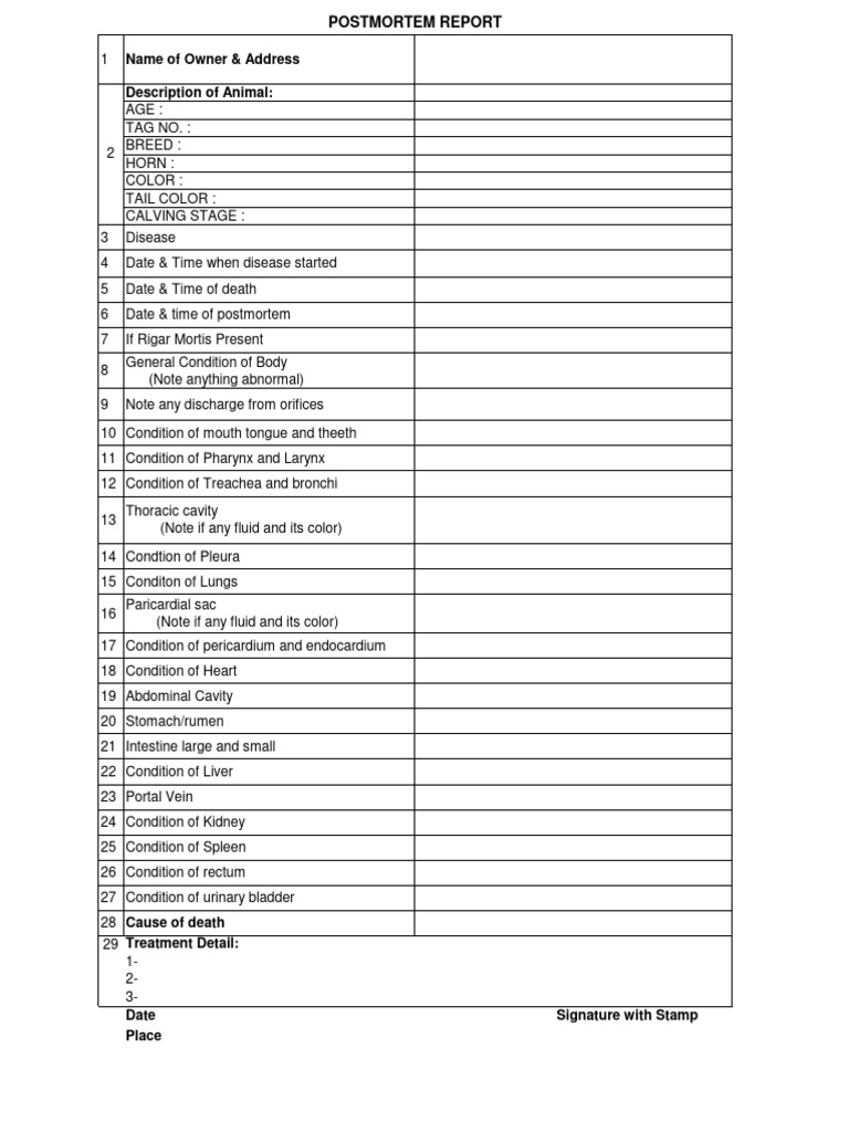 Post Mortem | PDF