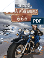 Martin Lechowicz: Droga Wojewódzka 666