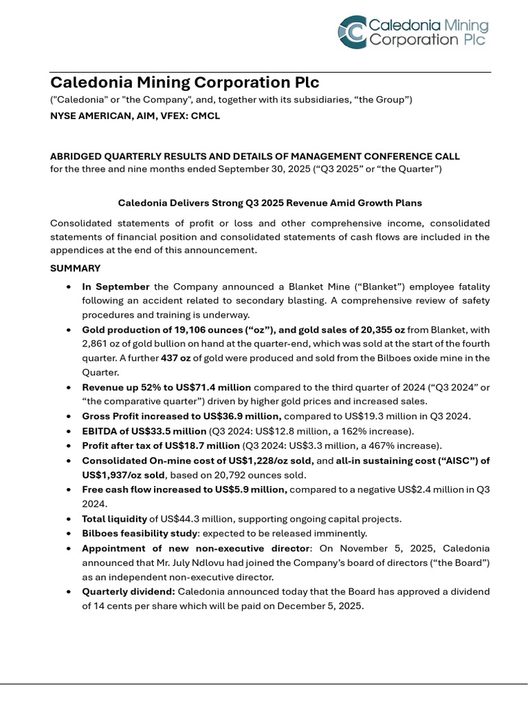 Caledonia Mine Report 2025 | PDF | Mining | Risk